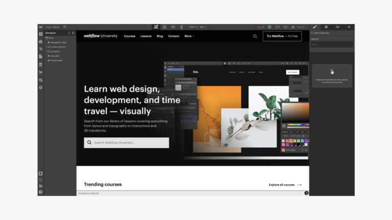 webflow web design