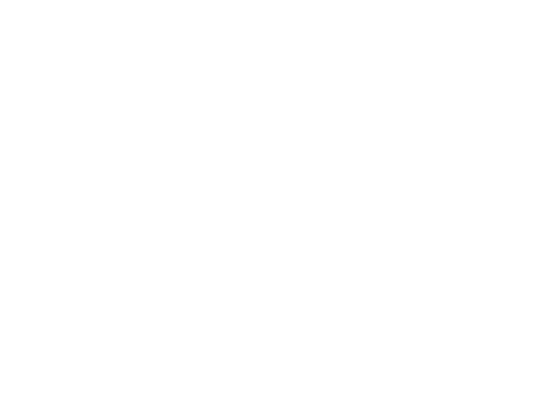 brooks training logo
