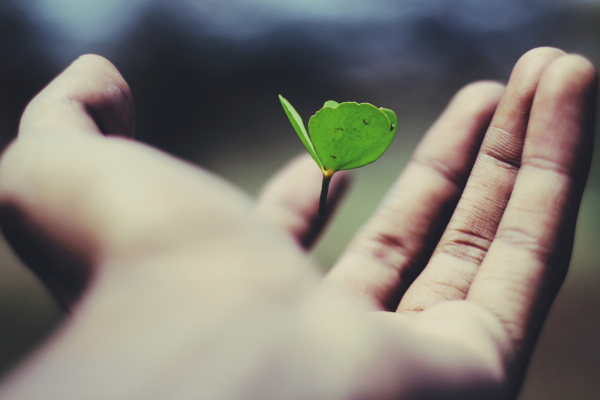 hand with leaf